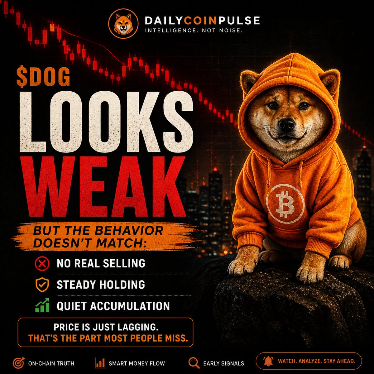 DOGPULSE 🟠 | $DOG Intelligence tweet media
