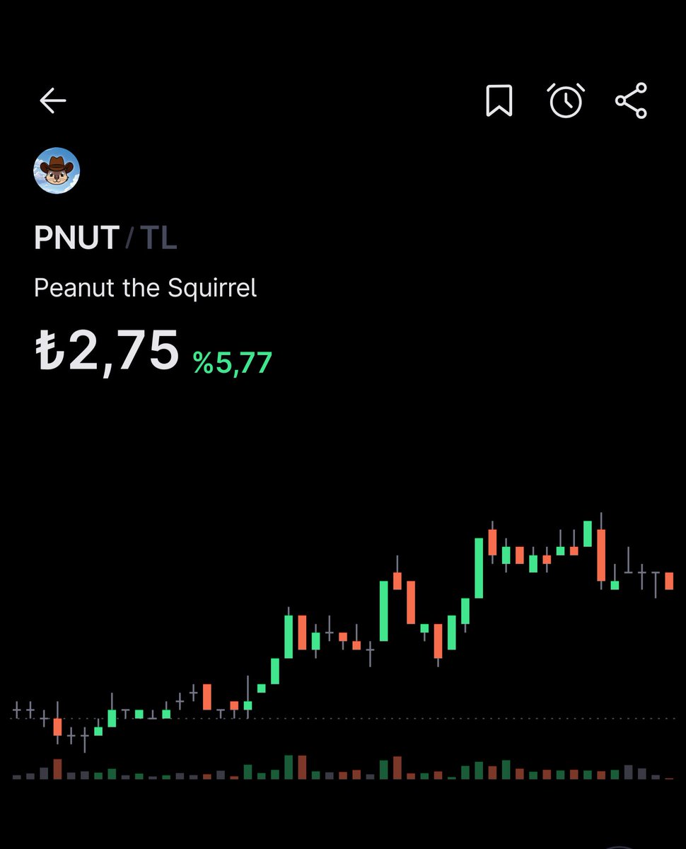 SahinBey9247's tweet photo. PNUT yükselecek coinlerden bir tanesi https://t.co/SIfrRpvu7q