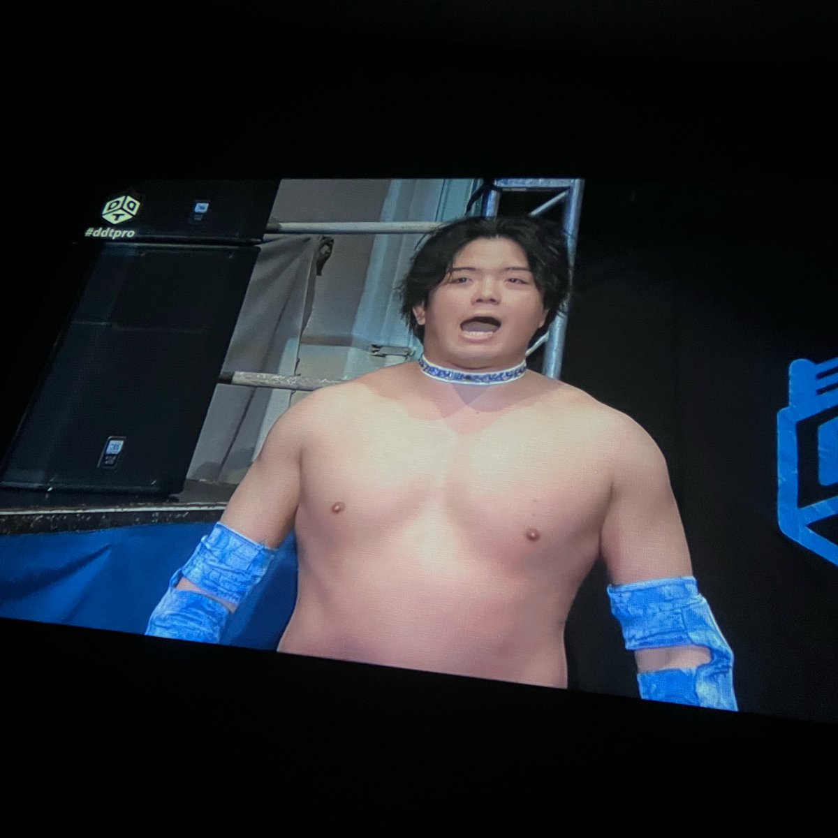 haru tweet media