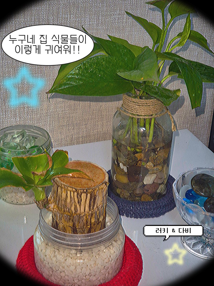 이댄 🍀 tweet media