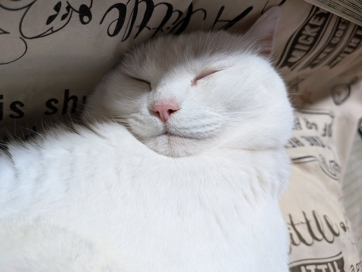 😺
