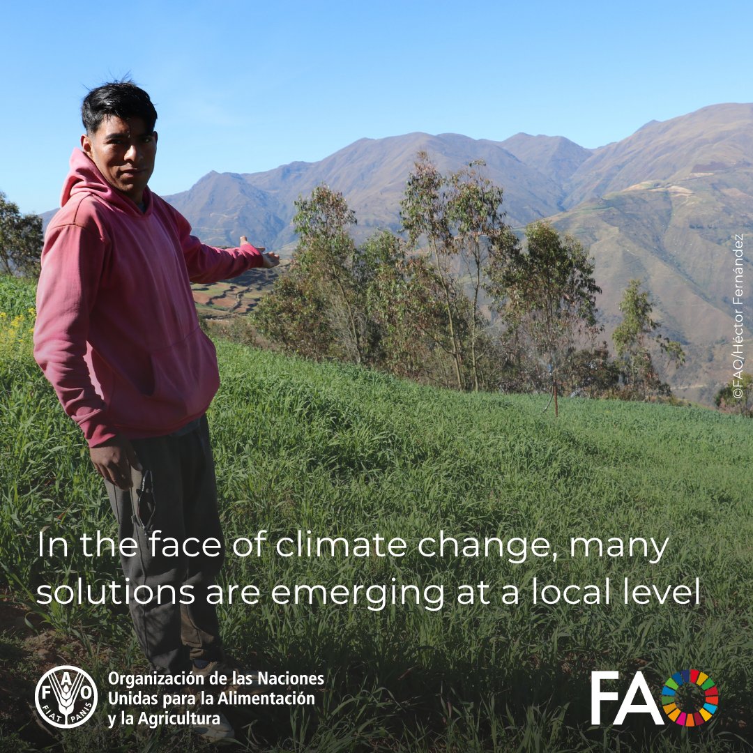 FAOFFKP's tweet image. 🏔️ In Peru’s central Andes, the days of carrying livestock for miles in search of water are long gone.
Check out this story to learn more.💧 
🔗 tinyurl.com/ys5k6777

#FamilyFarming #Water #Resilience #ClimateChange