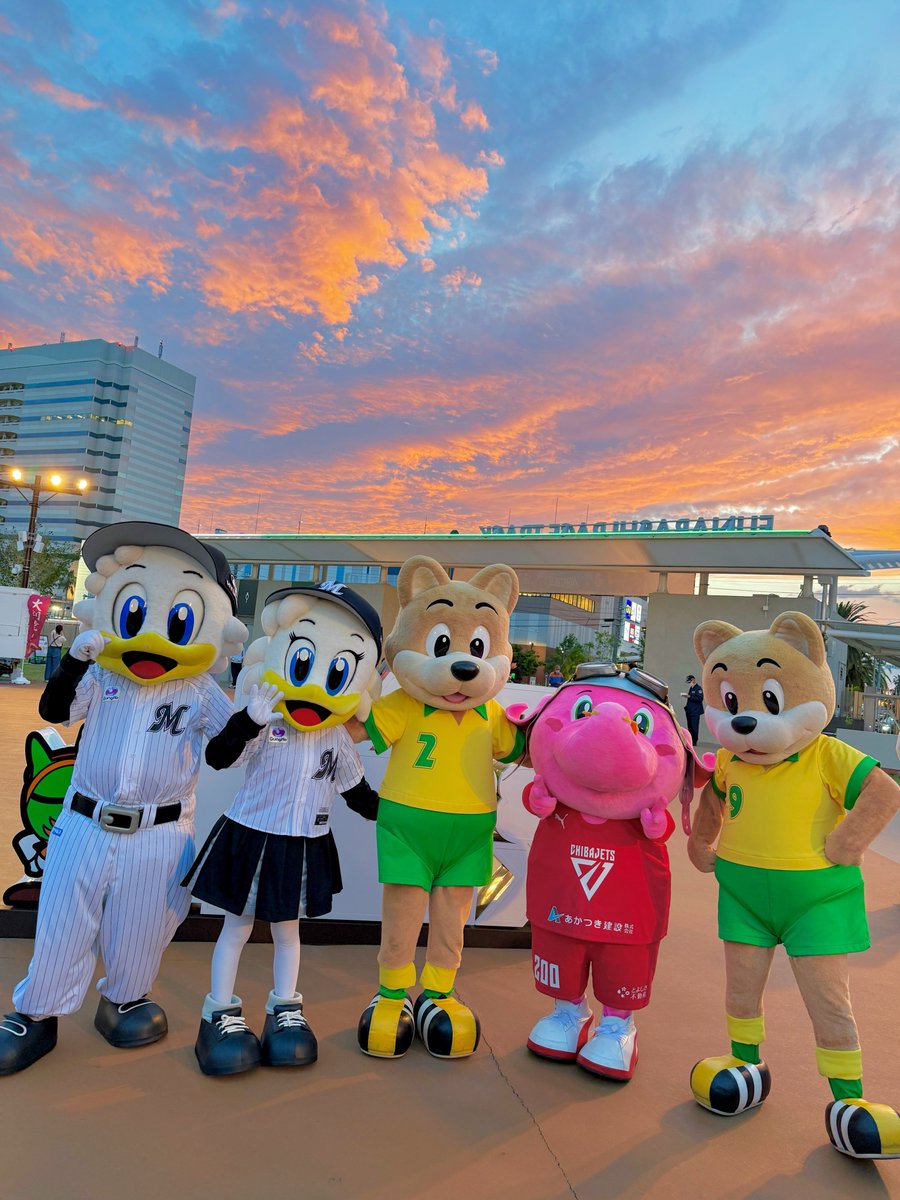 みんなで最後のグリーティングしてたら夕焼けがとても綺麗でした🌆☺️✨
#千葉ジェッツ #chibalotte #jefunited #船橋ケイバ #地域愛着 <a href="/chibalotte_mar/">マーくん(千葉ロッテマリーンズ)</a> <a href="/jef_united/">ジェフユナイテッド市原・千葉【公式X】</a> <a href="/Jumbokun_GOJETS/">【公式】ジャンボくん(千葉ジェッツ)</a>