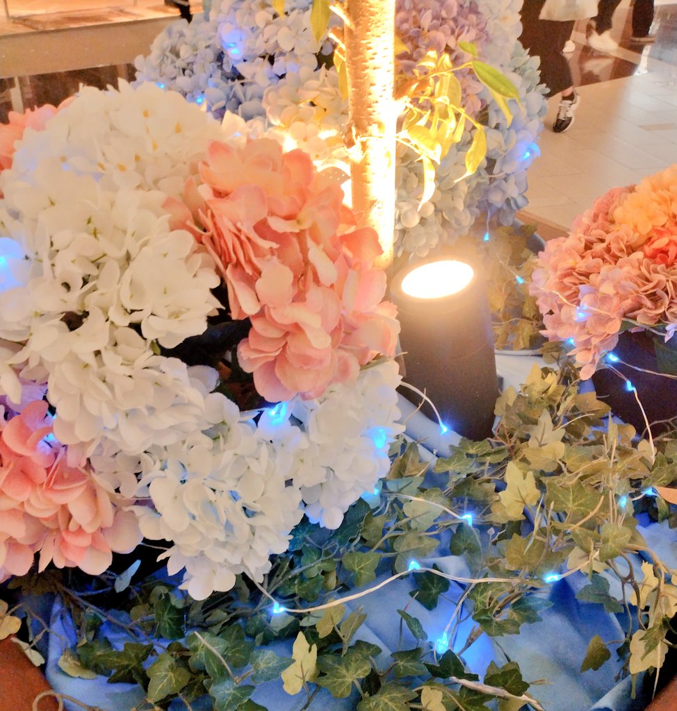 バニラソーダとカカオソーダという珍しドリンクを飲んだりいっぱいお話してハピでした…！🥰✨
カカオソーダの方ちょっともらったんだけどちゃんとチョコの味…！！
バニラの方もちゃんと甘いけどさっぱりで美味しかった！😋✨