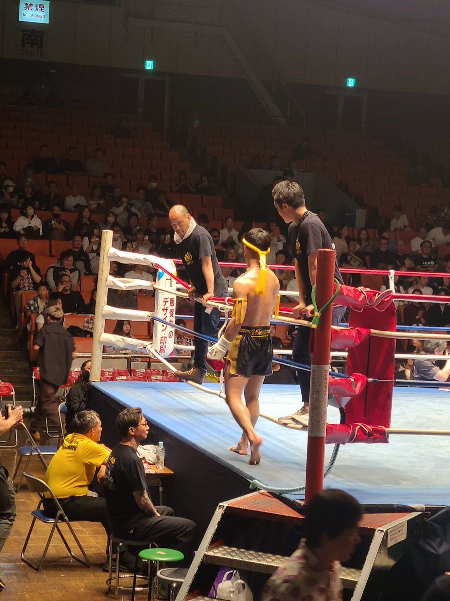 serval87's tweet photo. お待っとさんでした。全国８万８千人のＨ草トレーナーファンの皆様。今日のＨ草トレーナーです。 https://t.co/b9fm5QOGYh