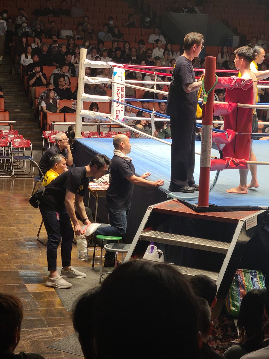 serval87's tweet photo. お待っとさんでした。全国８万８千人のＨ草トレーナーファンの皆様。今日のＨ草トレーナーです。 https://t.co/b9fm5QOGYh