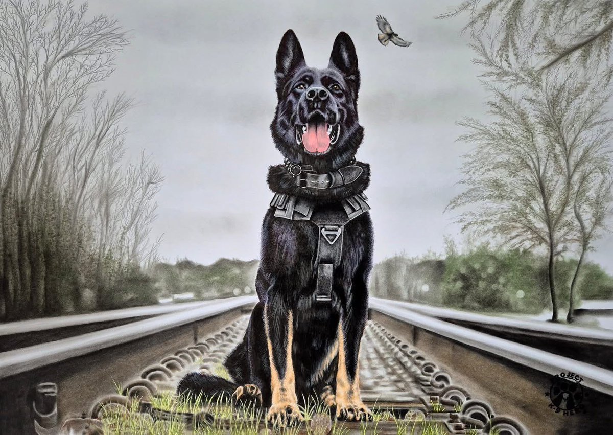 Project K9 Hero tweet media