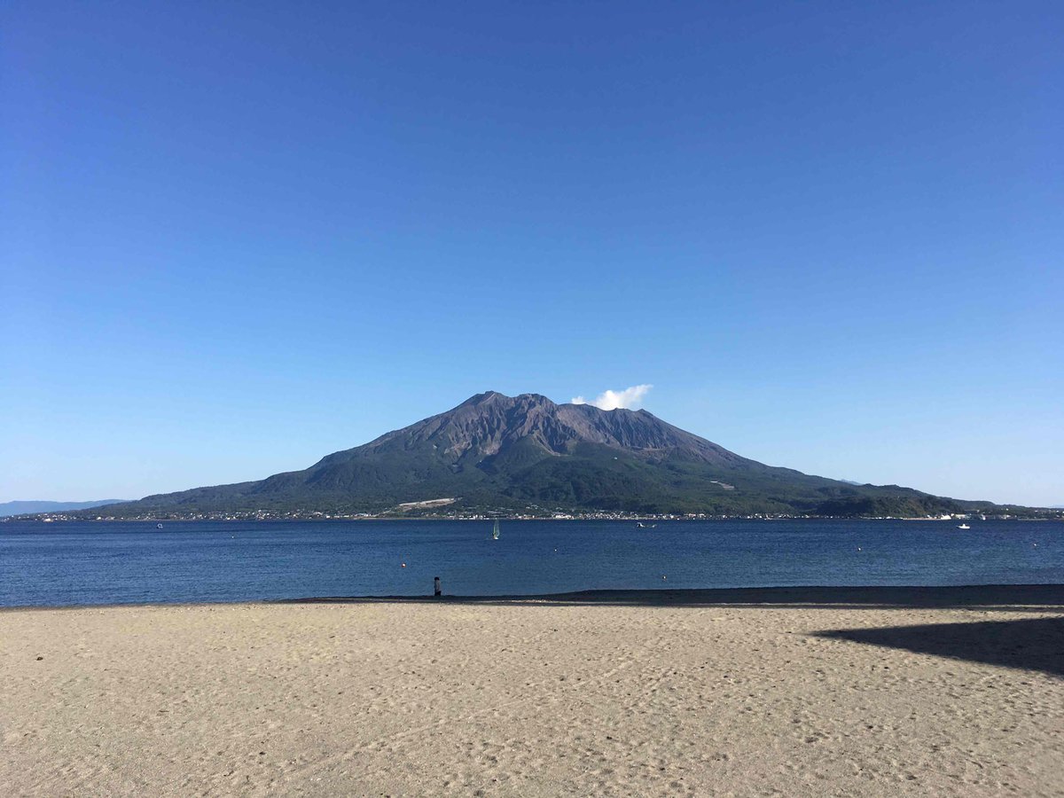 風林火山灰 tweet media