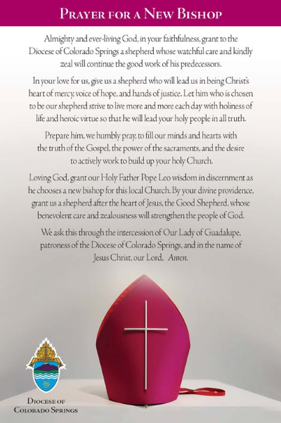 FrSlattery's tweet photo. Join us in prayer for a new Bishop... https://t.co/UXF28E7gql