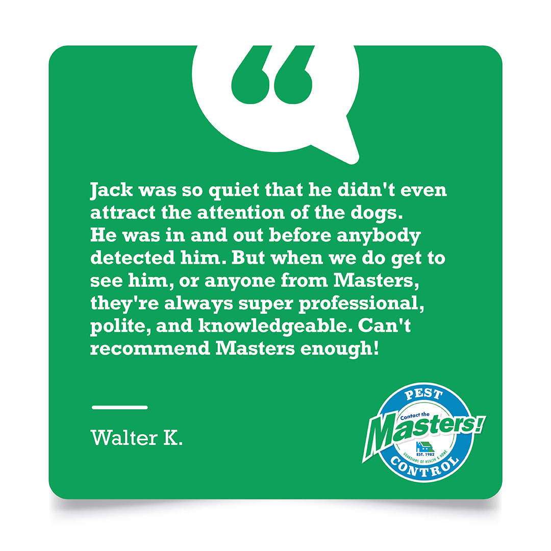 Masters Pest Control tweet media