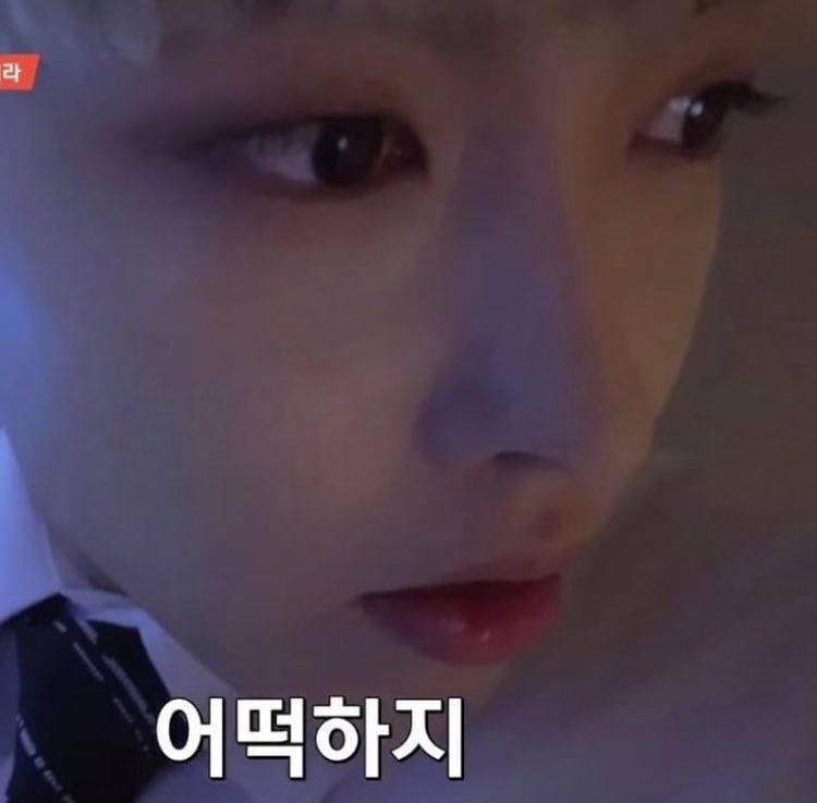 까미 tweet media