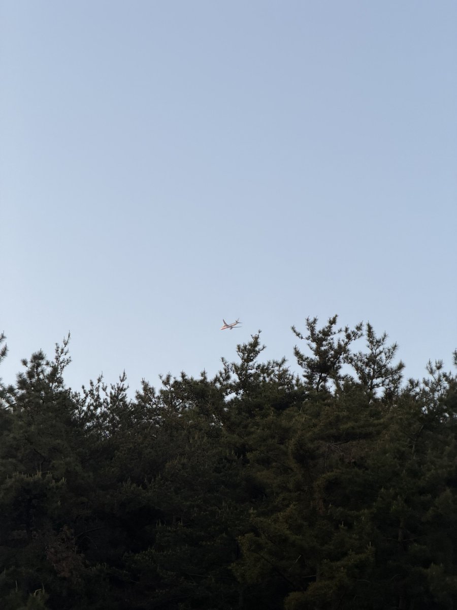 daa_mi_'s tweet photo. 뒤만 돌면 
이 장면이랑                      이장면을 볼수잇듬 https://t.co/8tSjKxlGxW