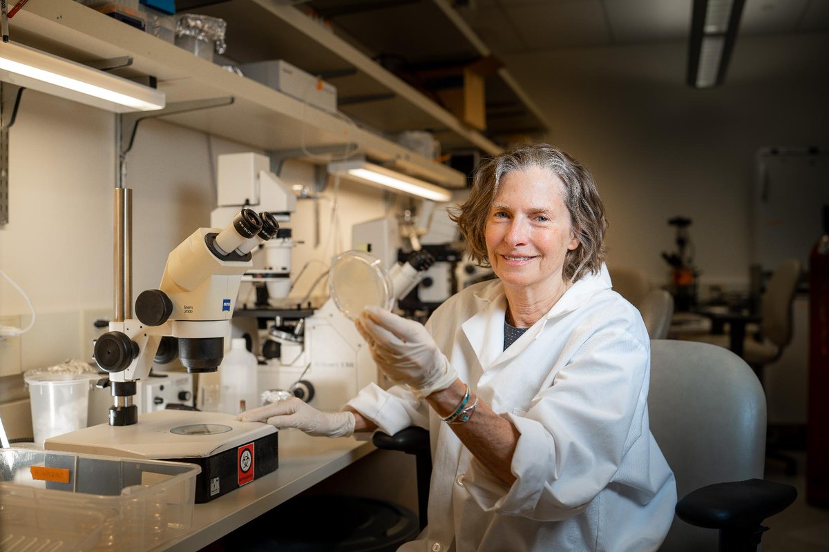 UofUHealthResearch tweet media