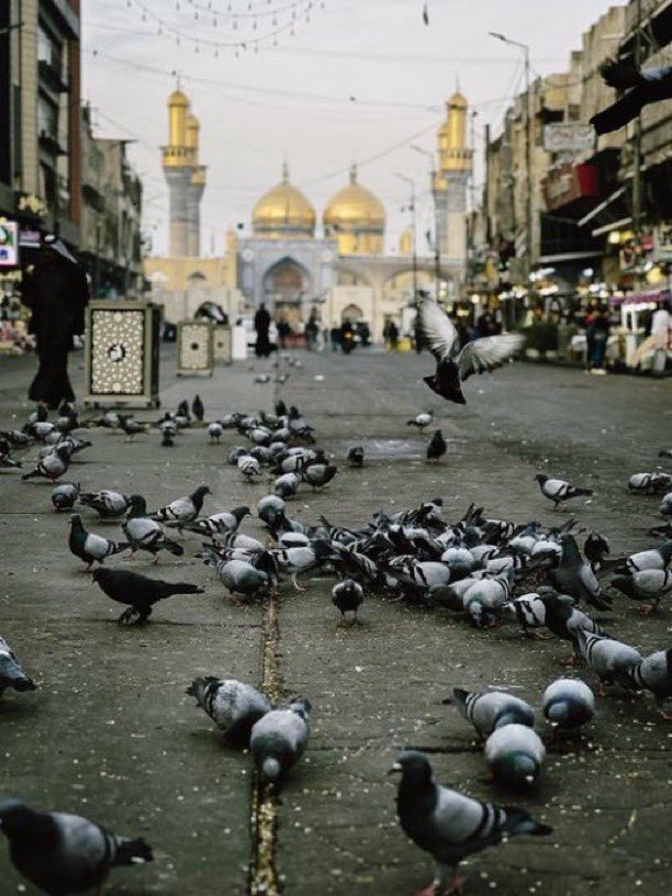 فاطِم tweet media