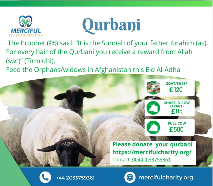MercifulChar1ty's tweet image. Support Afghanistan
Account Number: 48012263
Sort Code: 309089
IBAN: GB52 LOYD 3090 8948 0122 63
International Customer BIC: LOYDGB21256
Donate: mercifulcharity.org
#relief #charity #ngo #Helpneedy #donate #ukcharity