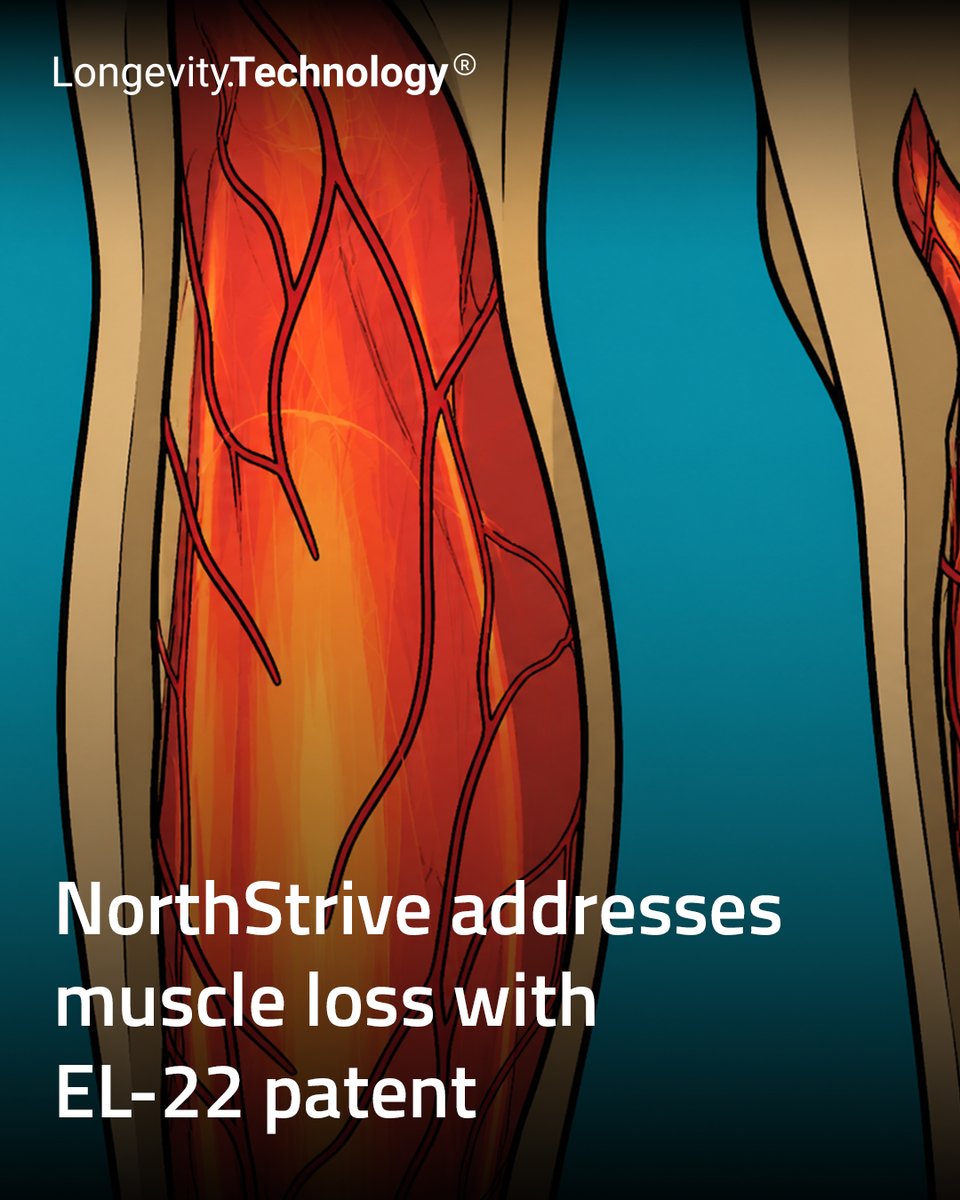 LongevityTech's tweet image. New filing expands NorthStrive Biosciences’ push into muscle preservation for GLP-1 users and aging populations.

vist.ly/42whi

#longevity #muscle #glp1 #sarcopenia #geroscience