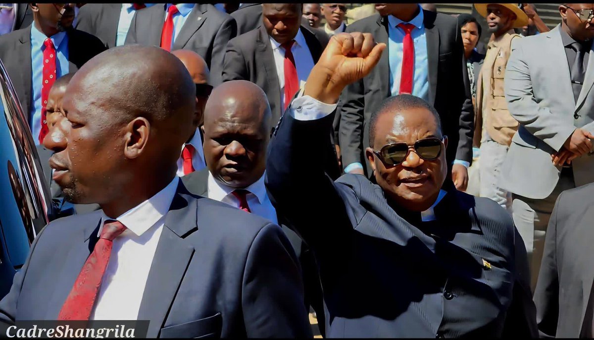 Cde Matonda tweet media