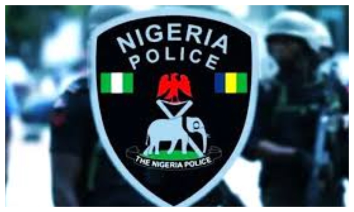 Daily Post Nigeria tweet media