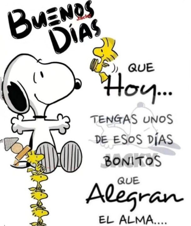 moni00's tweet photo. Bonito día para tod@s 🌞
Feliz lunes ☕
Feliz semana 🤗🌷 https://t.co/uZBWTy95F8