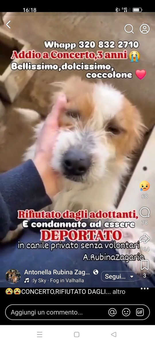Claudia Benvenuti tweet media