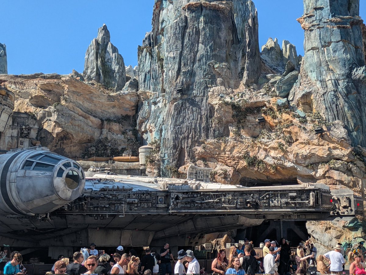 FaceoftheZebra's tweet photo. May the 4th be with you #livelongandprosper https://t.co/bWVytXe6q4