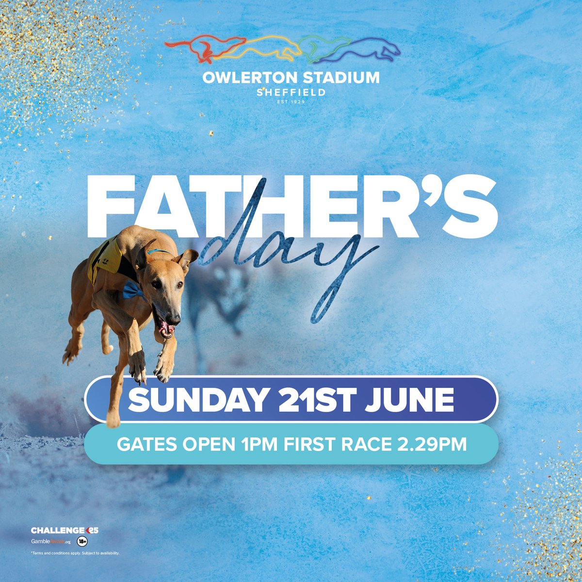 OwlertonStadium's tweet image. Not sure what to do for Father’s Day? 👑

Make it an easy win at Owlerton—great food, live racing, and a day you can actually enjoy together.

Pick what suits him best: Panorama Restaurant, VIP Box, or Trio.

👉 Find out more: tinyurl.com/56r8bv6k

#FathersDay #SheffieldEvents