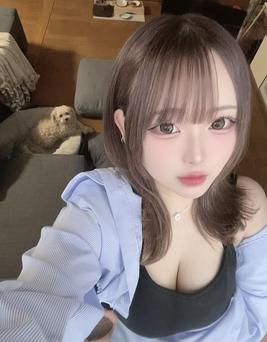 碧 tweet media