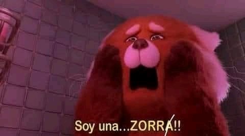 El Karma Es Un Gato❤️‍🔥 tweet media