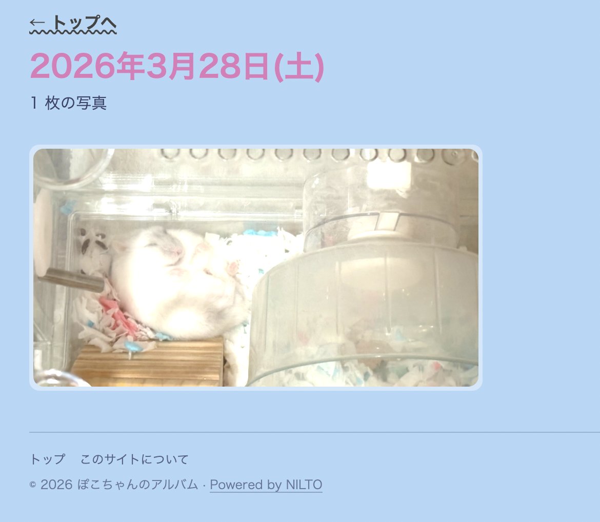R-524 tweet media