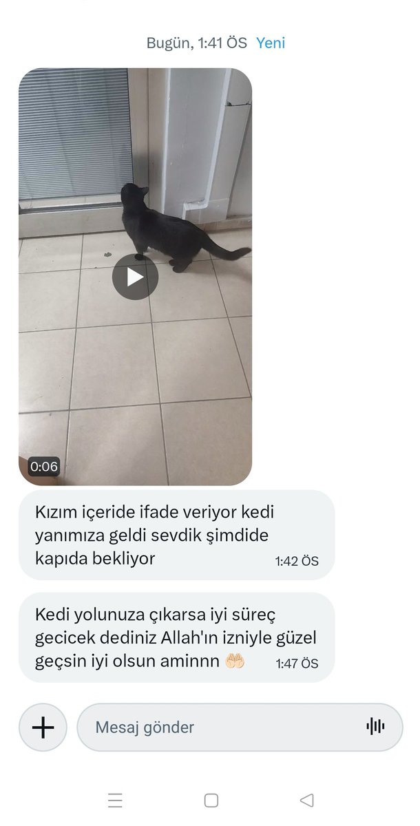 Rüya Tabircisi Ayşe tweet media