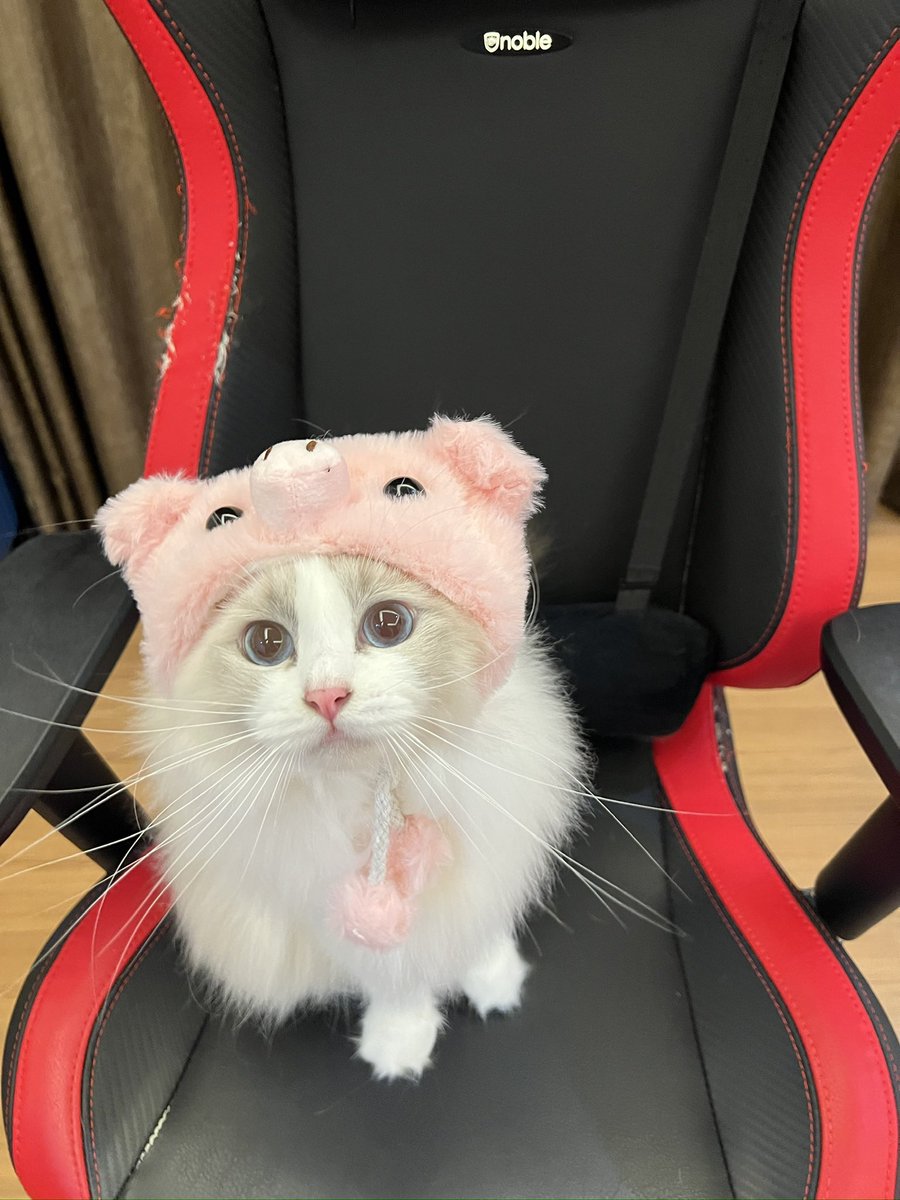 Princess Cubelita tweet media