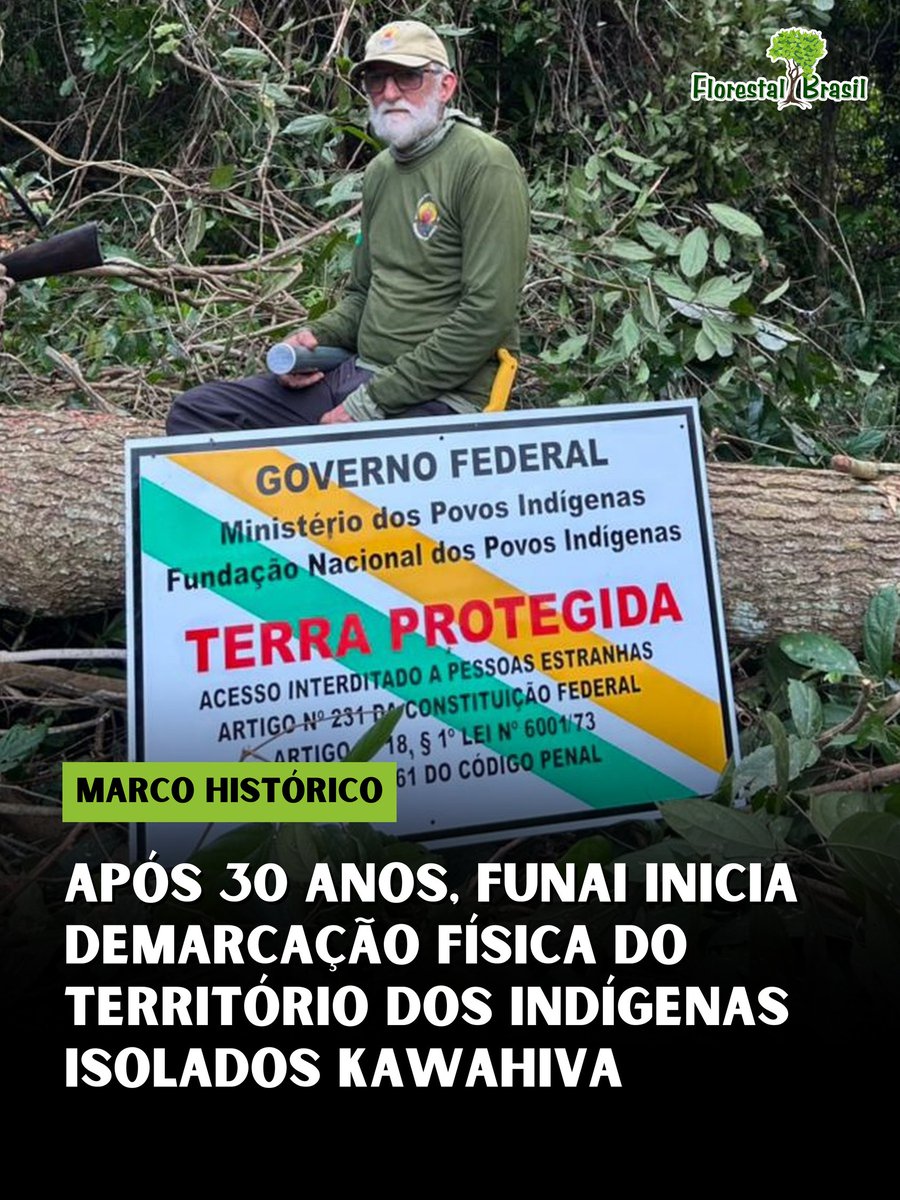 Florestal Brasil 🌳 tweet media