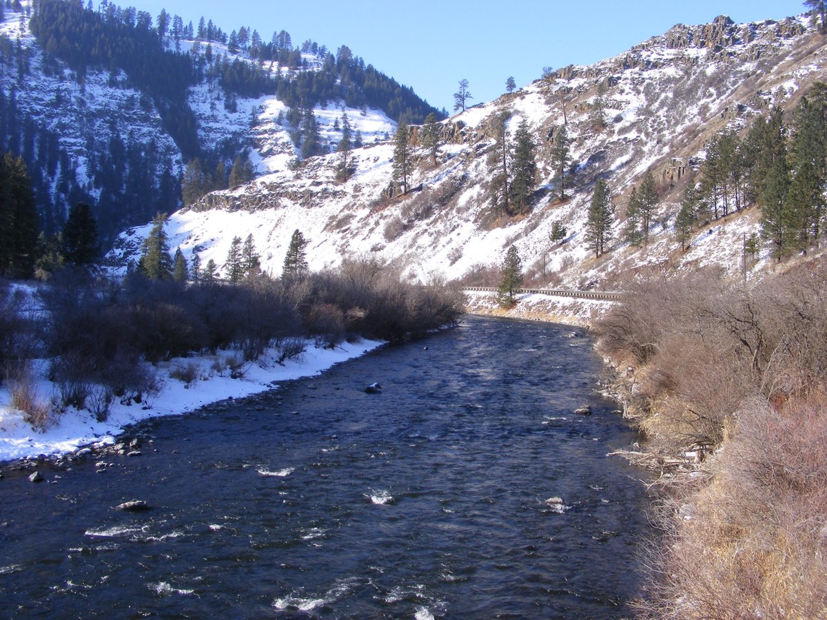 The Fly Fishing Place tweet media