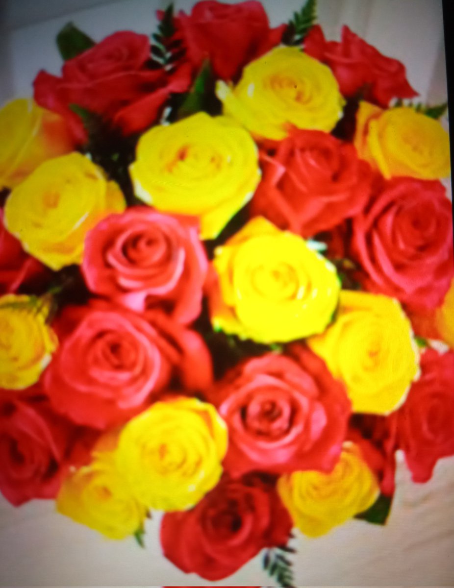 RaniJBikaner's tweet photo. Best wishes to Every one be Peacefull   n healthy prosperous https://t.co/VzVwrkvSUx