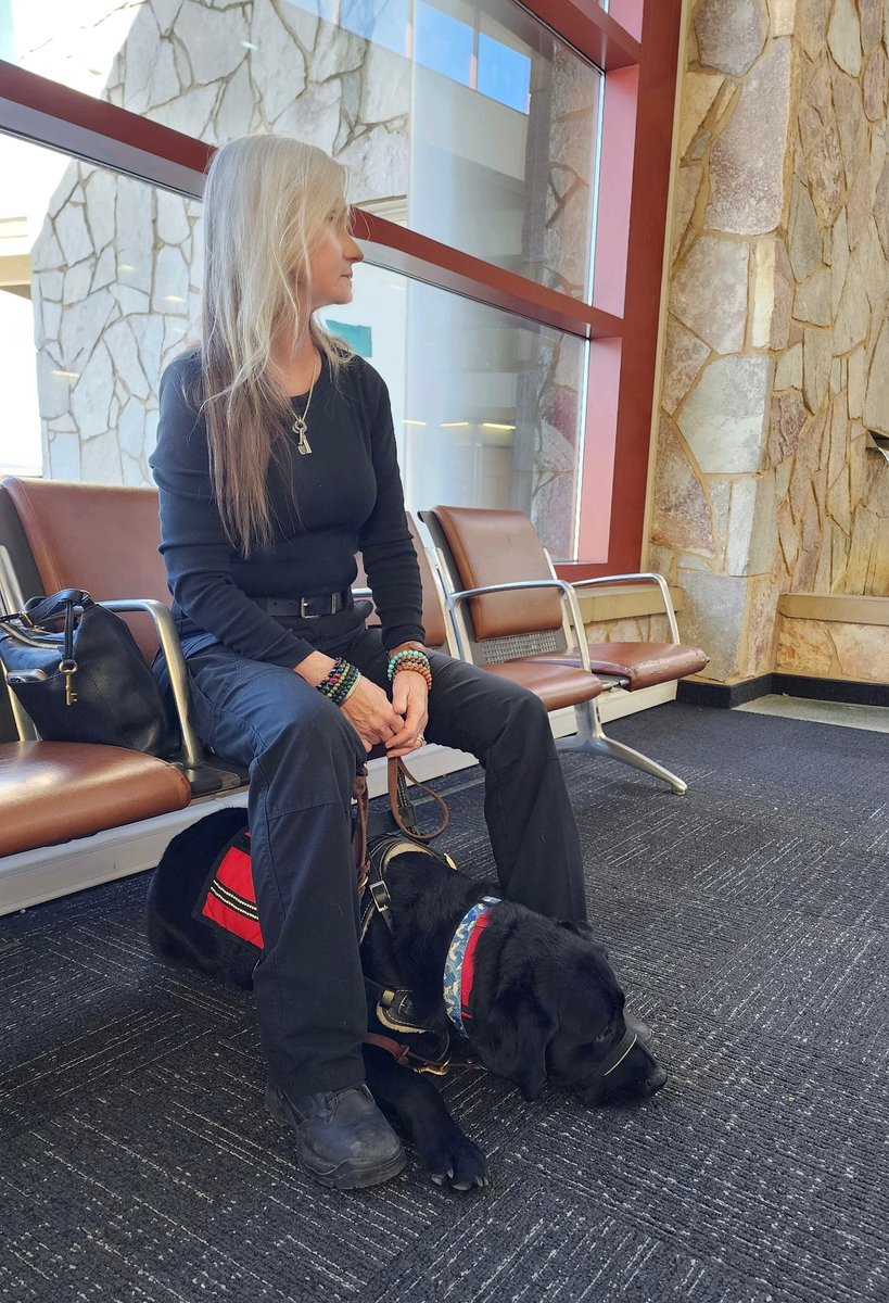 Sampson the Service Dog tweet media