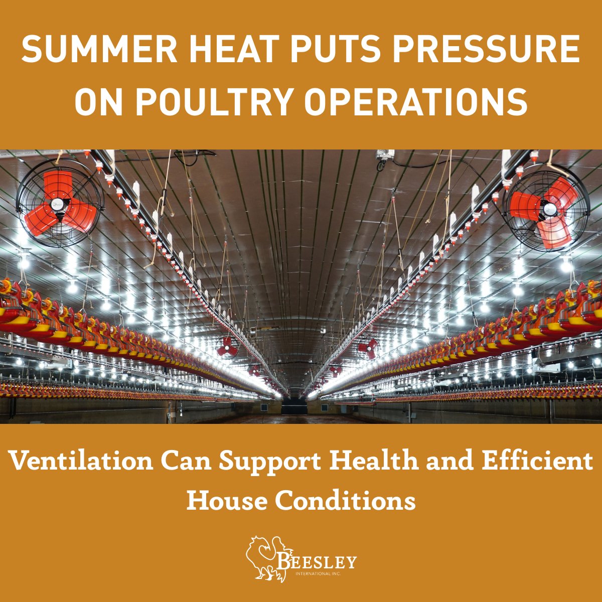 BeesleyInc's tweet photo. Summer heat is coming fast. Prepare now with ventilation solutions that support flock health, airflow and performance. From replacement parts to our REACH fans, Beesley International is here to help. #PoultryVentilation #SummerPrep https://t.co/Ci8IFPIQgq