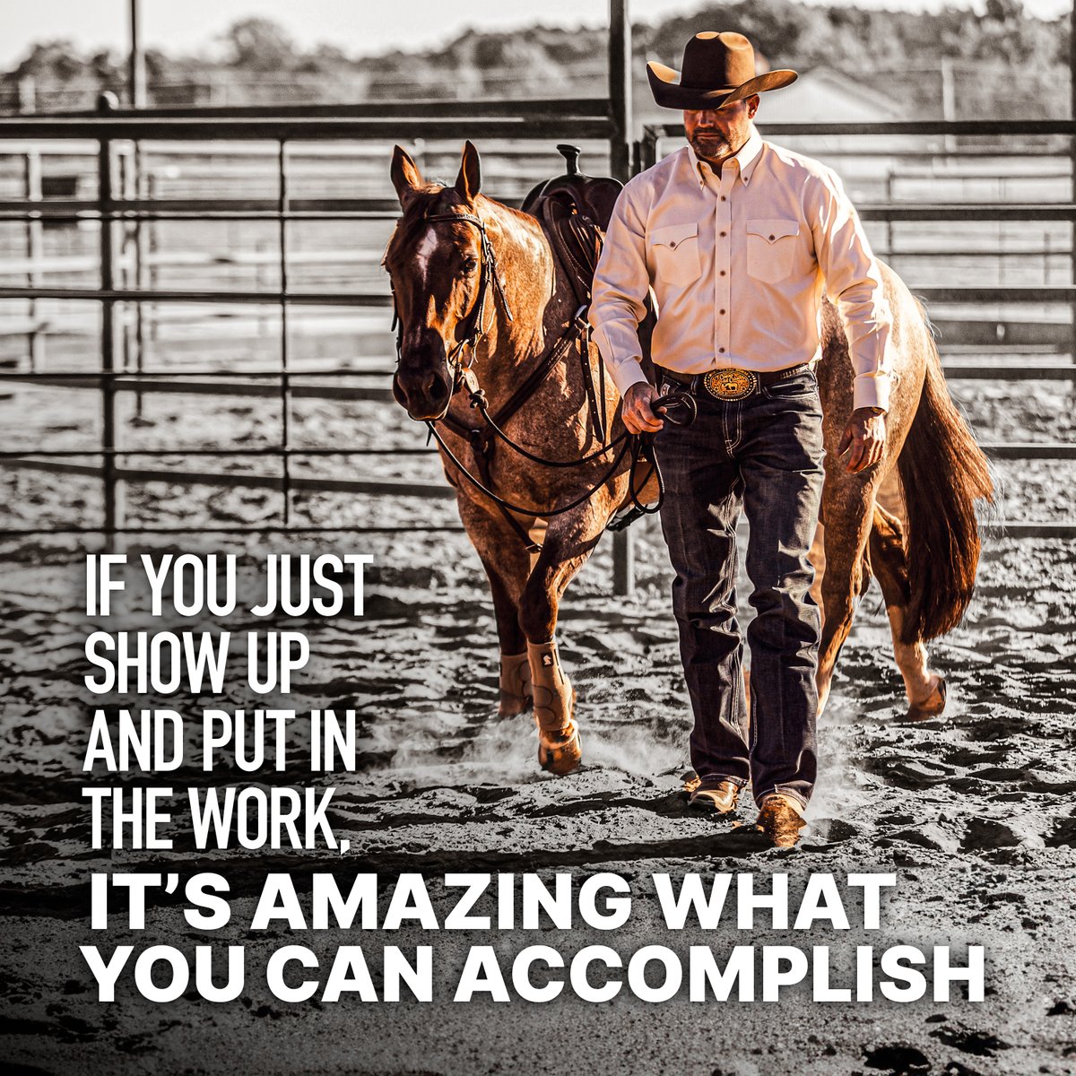 DownunderHorse's tweet photo. Seriously, it's amazing ✨
#ApplyTheMethod https://t.co/Vo4LFE1zNv