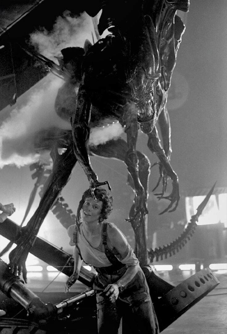 AvP Odyssey (☥𝐃𝐁) tweet media