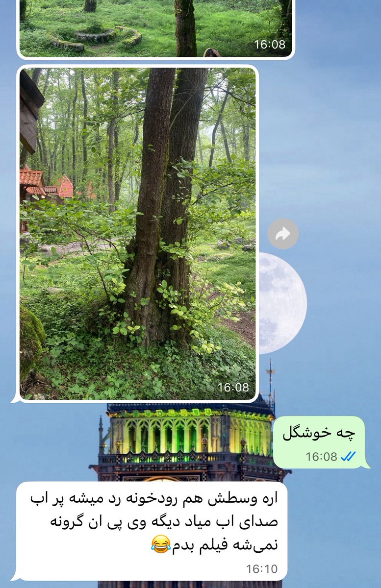 خواهرم رفته شمال بعد میگه جامون خیلی قشنگه، وسط جنگله صدای آبم میاد، یه عکس فرستاده میگه دیگه فیلم گرون در میاد نمیشه بفرستم. دونه دونه آدمهایی که نقش دارین تو قطعی نت زجرکش شدنتون رو ببینیم.