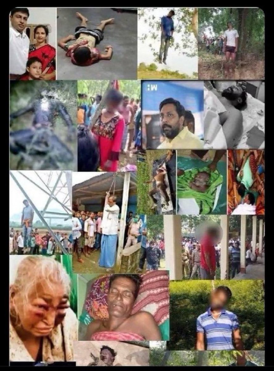 NikhilTiwarit18's tweet photo. बंगाल में बीजेपी की जीत उन सैकड़ो हिंदुओं को समर्पित है जिन्होंने इस धर्म युद्ध में अपनी जान गंवाई 🙏
#ElectionResult_2026 #बंगाल_का_रिजल्ट https://t.co/6JrM3dsUfx