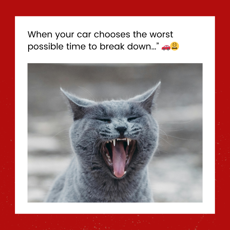MatthewRhyno's tweet photo. We’re ready when you need us.
📞 Call us today. #towingcompany #towing #roadsideassistance #towingservice #roadsidehelp #RhynosTowing https://t.co/dP6QaDFZks