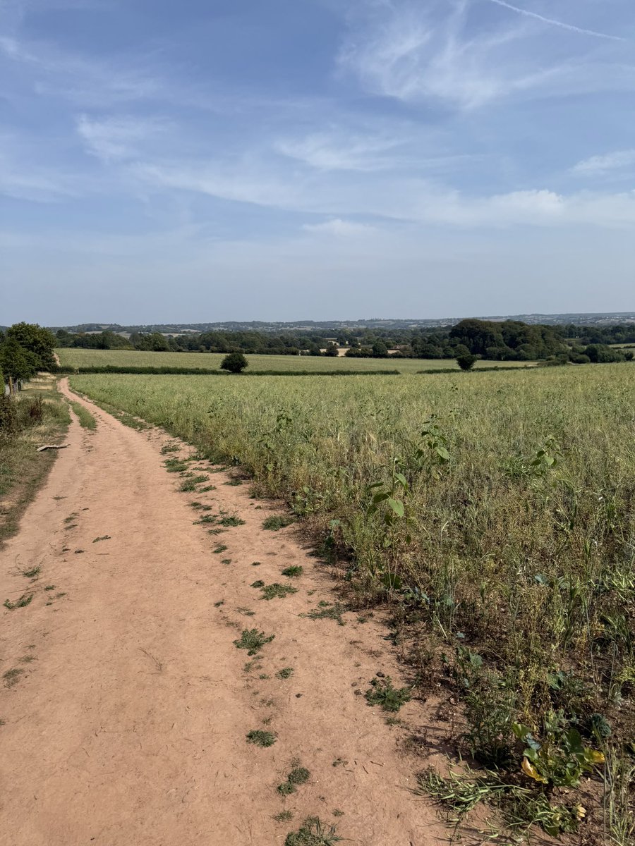 theeyesofawalsh's tweet image. Stretches out as far as the eye can see #photooftheday #photographer #photograph #photography