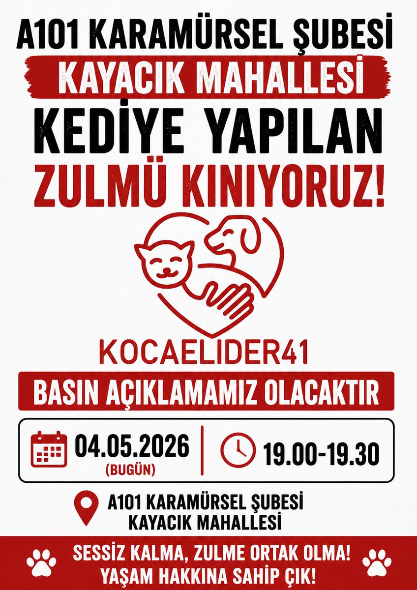 KOCAELİDER41 tweet media