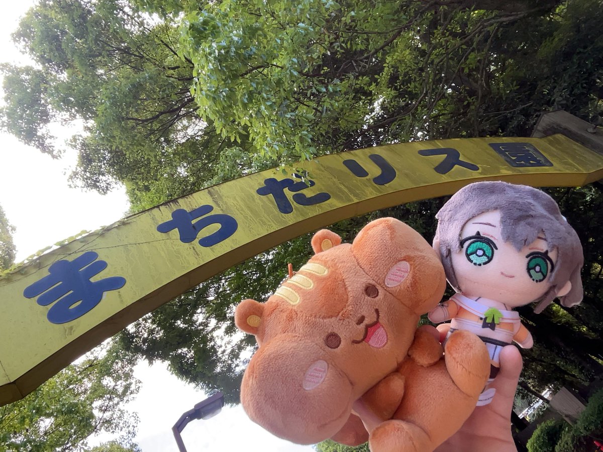 さぶちゃ tweet media