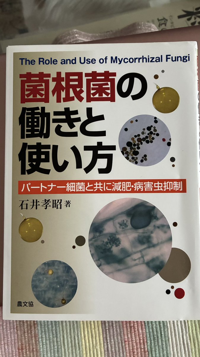 石原奈津子 tweet media
