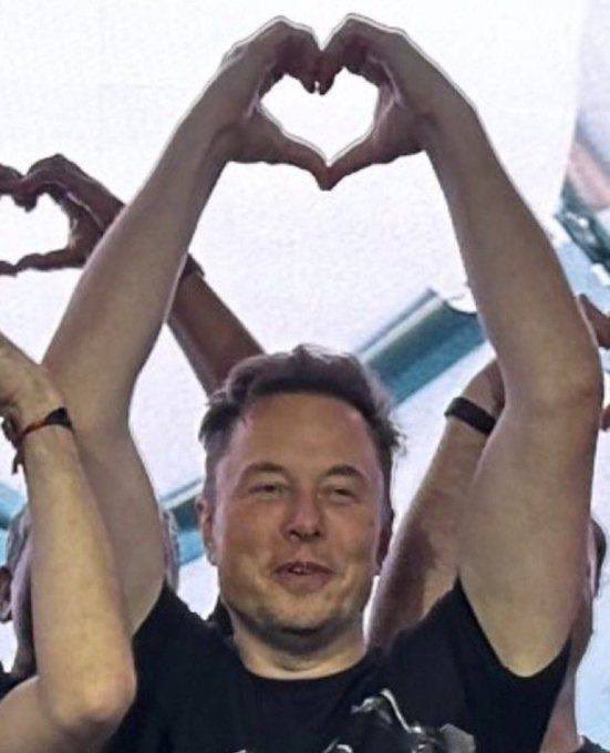 Not Elon Musk tweet media