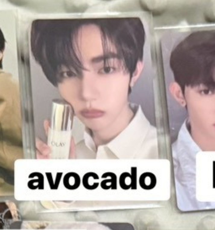 AVOcado tweet media