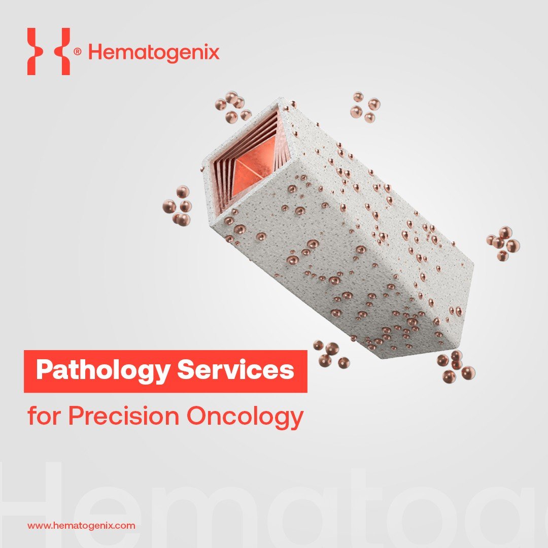hematogenix's tweet photo. Pathology is where oncology data gains diagnostic meaning.

Beyond generating results, expert pathology interpretation determines how tissue findings are understood, contextualized, and translated into decisions across research and drug development programs.

At Hematogenix, our pathology services deliver clear, consistent interpretation of complex oncologic specimens, supporting biopharma and clinical research teams throughout the clinical development lifecycle.

When evaluating oncology study data, what makes you trust it most?

#PathologyServices #PrecisionMedicine #OncologyAssays #Biopharma
