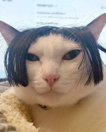niww യ。| แม่นมน้องแก้ว tweet media