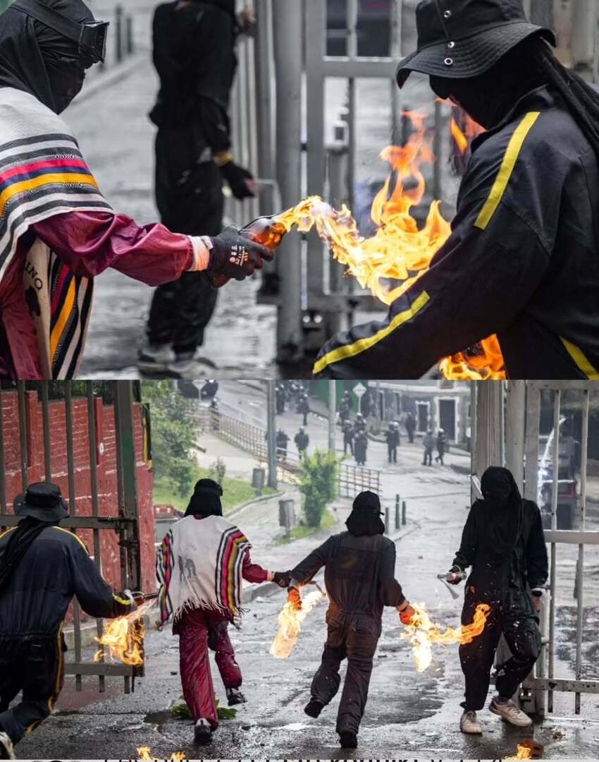GlobalRevolution🏴 tweet media